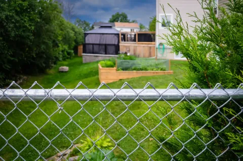 Chain link fence closeup with backyard behind it