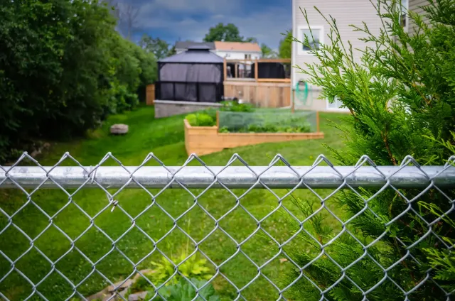 Chain link fence closeup with a backyard scene visible behind it